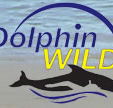 Dolphin Wild - Accommodation Mooloolaba