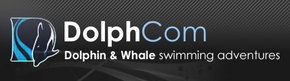  Accommodation Mooloolaba