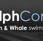 Dolphcom - Dolphin  Whale Swimming Adventures - Accommodation Mooloolaba