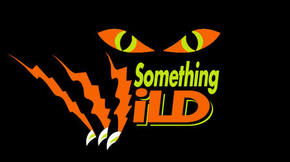 Dowsing Point TAS Accommodation Mooloolaba