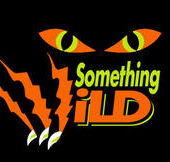 Something Wild - Accommodation Mooloolaba