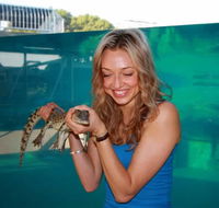Crocosaurus Cove - Accommodation Mooloolaba