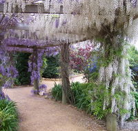 Abingdon Miniature Village - Accommodation Mooloolaba
