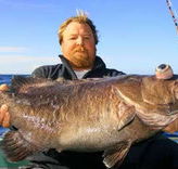 Bravo Fishing Charters - Accommodation Mooloolaba