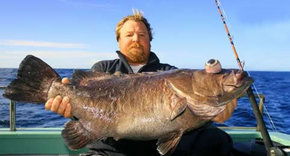 Bravo Fishing Charters - Accommodation Mooloolaba 0