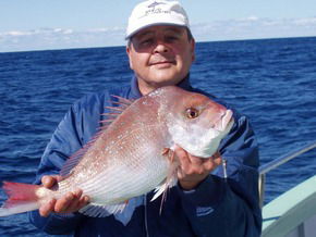 Bravo Fishing Charters - Accommodation Mooloolaba 3