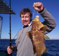Downunder Charters - Accommodation Mooloolaba