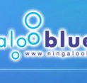 Ningaloo Blue Dive - Accommodation Mooloolaba