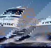 Sunshine Coast Fishing Charters - Accommodation Mooloolaba