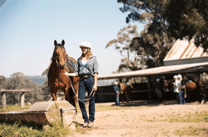 Watsons Trail Rides - Accommodation Mooloolaba