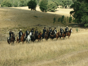 McCormacks Mountain Valley Trail Rides - Accommodation Mooloolaba