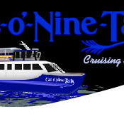 Cat O' NineTails - Accommodation Mooloolaba