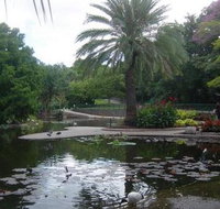 Brisbane City Botanic Gardens - Accommodation Mooloolaba