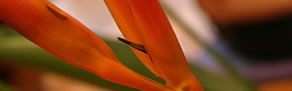 Arncliffe NSW Accommodation Mooloolaba