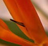 Zen Day Spa - Accommodation Mooloolaba