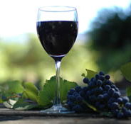 Lion Mill Vineyards - Accommodation Mooloolaba