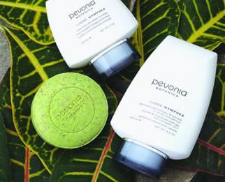 AQueous Spa - Accommodation Mooloolaba 1