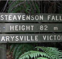 Stevensons Falls - Accommodation Mooloolaba