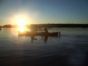 Kayak Noosa - Accommodation Mooloolaba 1