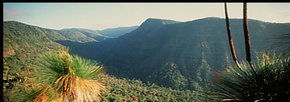 Lamington National Park And OReillys - Accommodation Mooloolaba 1