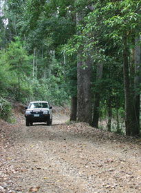 Lamington National Park And OReillys - Accommodation Mooloolaba 2