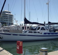 Coral Sea Dreaming Dive and Sail - Accommodation Mooloolaba