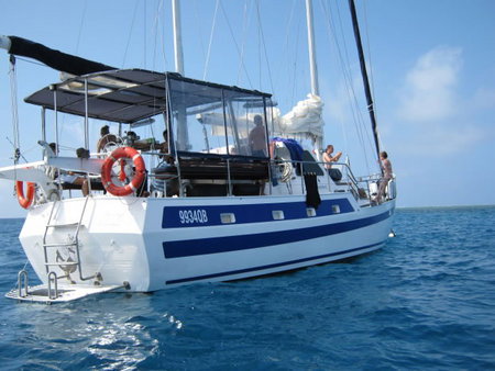 Coral Sea Dreaming Dive And Sail - Accommodation Mooloolaba 3