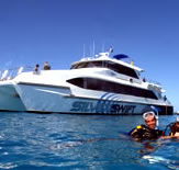 Silver Swift - Accommodation Mooloolaba