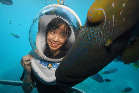 Sunlover Reef Cruises - Accommodation Mooloolaba 0