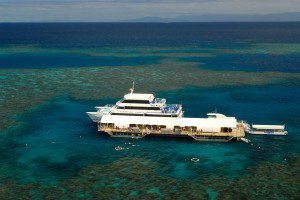Sunlover Reef Cruises - Accommodation Mooloolaba 2