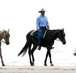 Ride the Beach - Accommodation Mooloolaba