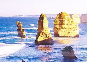 Bunyip Tours - Accommodation Mooloolaba 3