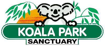 Koala Park Sanctuary - Accommodation Mooloolaba 0