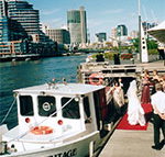 Bay  River Cruises - Accommodation Mooloolaba