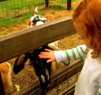 Collingwood Children's Farm - Accommodation Mooloolaba