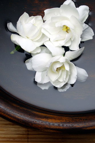 Temple Skincare - Accommodation Mooloolaba 2