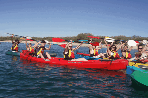 Australian Kayaking Adventures - Accommodation Mooloolaba 0