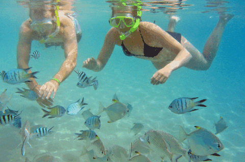 Australian Kayaking Adventures - Accommodation Mooloolaba 2