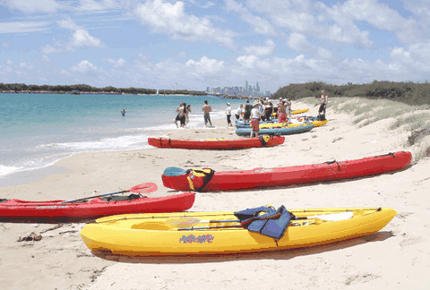 Australian Kayaking Adventures - Accommodation Mooloolaba 3