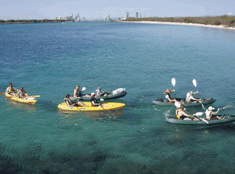Australian Kayaking Adventures - Accommodation Mooloolaba 4