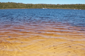 Beach Trekkers North Stradbroke Island - Accommodation Mooloolaba 1