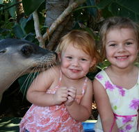 Dolphin Marine Magic - Accommodation Mooloolaba
