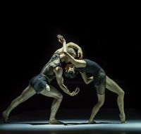 Sydney Dance Company - Accommodation Mooloolaba