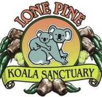 Lone Pine Koala Sanctuary - Accommodation Mooloolaba