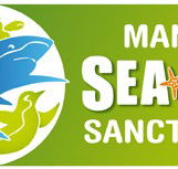 Manly SEA LIFE Sanctuary - Accommodation Mooloolaba