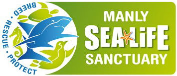 Manly SEA LIFE Sanctuary - Accommodation Mooloolaba 0