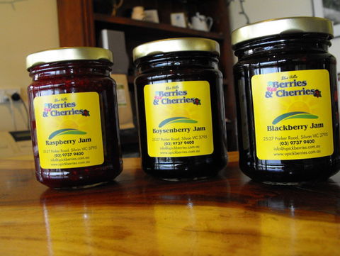 Blue Hills Berries & Cherries - Accommodation Mooloolaba 1