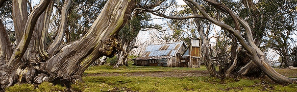 High Country Scenic Tours - Accommodation Mooloolaba