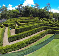 Bellingham Maze - Accommodation Mooloolaba