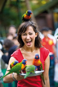 Currumbin Wildlife Sanctuary - Accommodation Mooloolaba 10